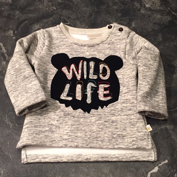 Rosie Pope Baby Wild Life 🐻 Sweatshirt - Picture 1 of 5